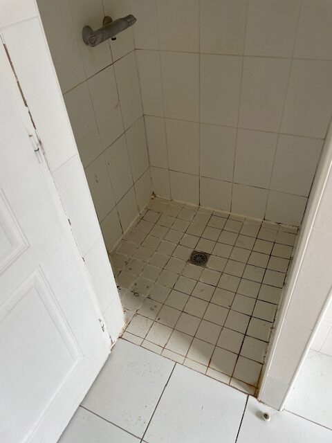 Before image alt
